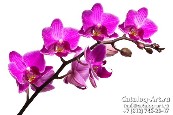 Натяжные потолки с фотопечатью - Розовые орхидеи 4
